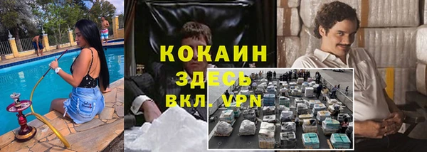 экстази Няндома