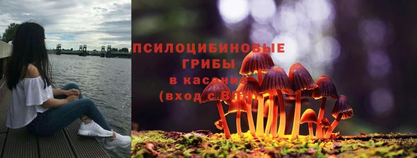 дживик Нязепетровск